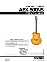 Yamaha AEX-500NS User manual