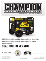 Champion Power Equipment100153