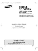 Samsung CS21V10ML User manual