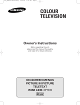 Samsung WS32A2083Y User manual