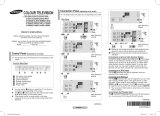 Samsung CS21B500HL User manual