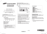 Samsung CS21B850F3 User manual