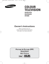 Samsung SP-43W6HE Owner's manual