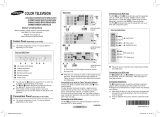 Samsung CS21B850F6 User manual