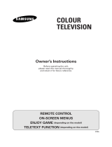 Samsung CS-29D8SV Owner's manual