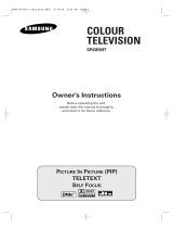 Samsung SP-43H3HT User manual