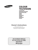 Samsung SP-43W6HF User manual
