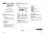 Samsung CS-21Z47ZGQ User manual
