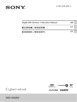 Sony DSC-WX300 User manual