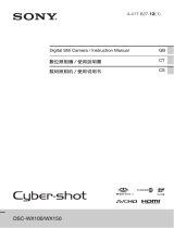 Sony DSC-WX100 User manual