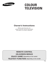 Samsung CS21V10ML User manual