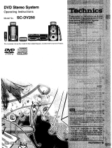 Panasonic SCDV250 Owner's manual