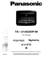 Panasonic TX21AD2DPM Operating instructions