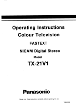 Panasonic TX21V1 Operating instructions