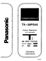 Panasonic TX28PG45 Operating instructions