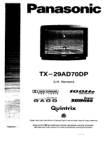 Panasonic TX29AD70DP Operating instructions