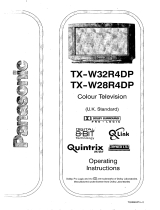 Panasonic TXW28R4 Operating instructions