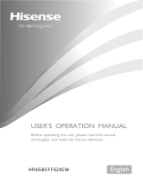 Hisense HR6SBSFF624SW User manual