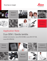 Leica Microsystems EM ACE900 Application Note