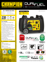 Champion Power Equipment 100263 Product information