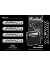 Marshall Amplification MG15RCD User manual