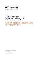 Ruckus WirelessSmartCell Gateway 200