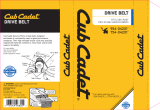 Cub Cadet 490-501-C096 User manual