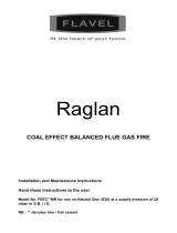 Flavelfires High Efficiency Balanced Flue Gas Fire User manual
