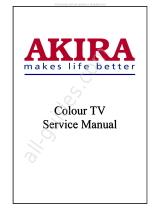 akira CT-21FGS1 User manual