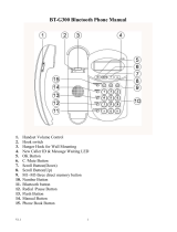 Telewell BT-G300 User manual