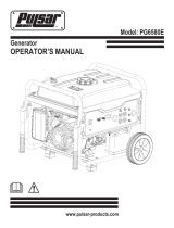Pulsar PG6580E Owner's manual
