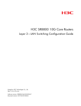 H3C SR8800 IM-FW-II Configuration manual