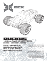 Ruckus Wireless ECX01000 Owner's manual
