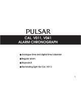 Pulsar V041 User manual