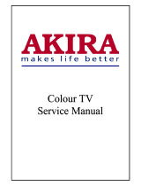 akira 21BHS3/CE User manual
