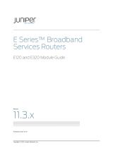 Juniper E320 User manual