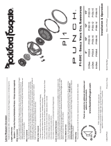 Rockford FosgatePunch P1-SVC