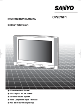 Sanyo CP28WF1 User manual