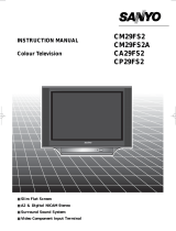 Sanyo CP29EF3 User manual