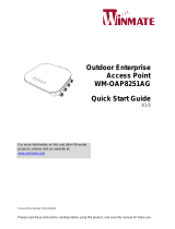 Winmate WM-OAP8251AG User manual