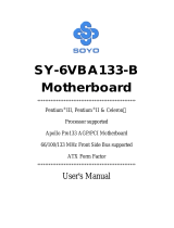 SOYO SY-6VBA133-B User manual