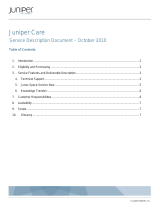 Juniper IMPLEMENTATION SUPPORT - SERVICE DESCRIPTION DOCUMENT 10-2010 User manual