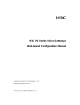 H3C VG Series Configuration manual
