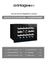 Avintage AV22XI Owner's manual