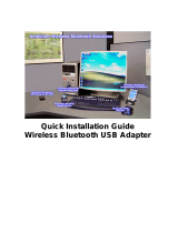 AmbiCom Holdings BT2-USB Class I User manual