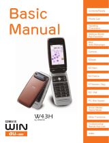 Hitachi w43h User manual