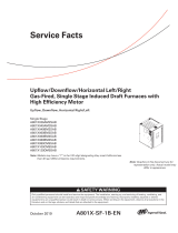 Ingersoll-Rand A801X120DM5SAB Service Facts