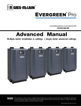 Weil-McLain Evergreen Pro Gas Boiler User manual