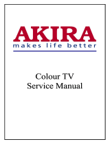 akira 21SHS3 Series User manual