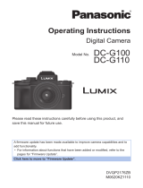 Panasonic DCG110EB Operating instructions